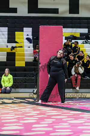 Winter Star_260117_West Milford-ms01352