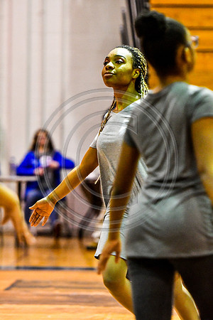 Winslow Township Dance_180310_Old Mill-2-22