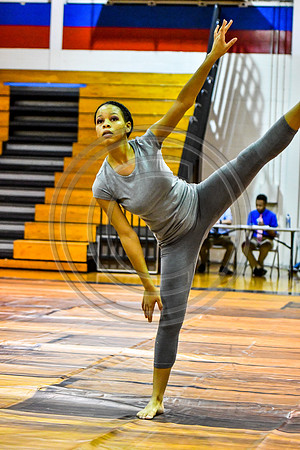 Winslow Township Dance_180310_Old Mill-2-13