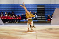 Downingtown West_263101_Spring-Ford-mg0005
