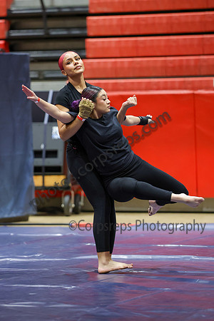 Brentwood Guard_260131_Hillsborough HS-jb01226