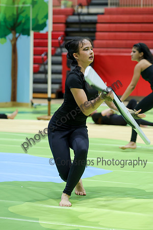 Hicksville Guard_260131_Hillsborough HS-jb01005