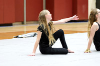 High Voltage_260131_Hillsborough HS-jb01672