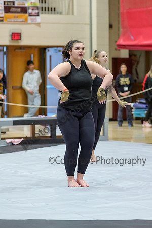 Hunterdon Central Regional Guard_260131_Hillsborough HS-jb00511