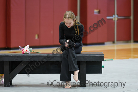 Mahwah Guard_260131_Hillsborough HS-jb00155