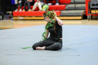 Mahwah Guard_260131_Hillsborough HS-jb00156
