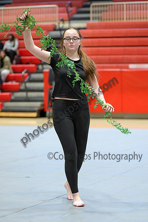 Mahwah Guard_260131_Hillsborough HS-jb00170