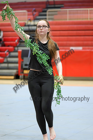 Mahwah Guard_260131_Hillsborough HS-jb00171