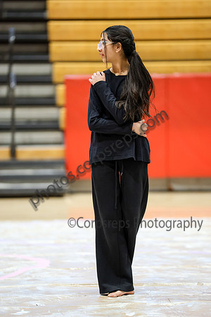 N-8 Novice Winterguard_260131_Hillsborough-ms01463
