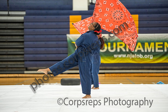 Abington Regional Guard_260214_Cheltenham-cm01229