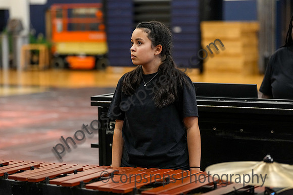 Caesar Rodney Drumline_260214_Cheltenham-cm00356