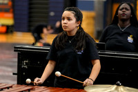 Caesar Rodney Drumline_260214_Cheltenham-cm00366