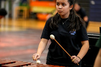 Caesar Rodney Drumline_260214_Cheltenham-cm00360