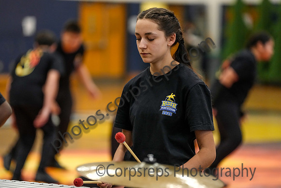 Caesar Rodney Drumline_260214_Cheltenham-cm00359