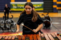 Caesar Rodney Drumline_260214_Cheltenham-cm00361