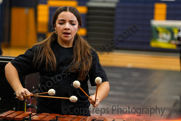 Caesar Rodney Drumline_260214_Cheltenham-cm00382