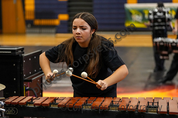 Caesar Rodney Drumline_260214_Cheltenham-cm00381