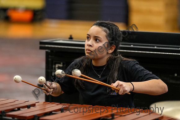Caesar Rodney Drumline_260214_Cheltenham-cm00385
