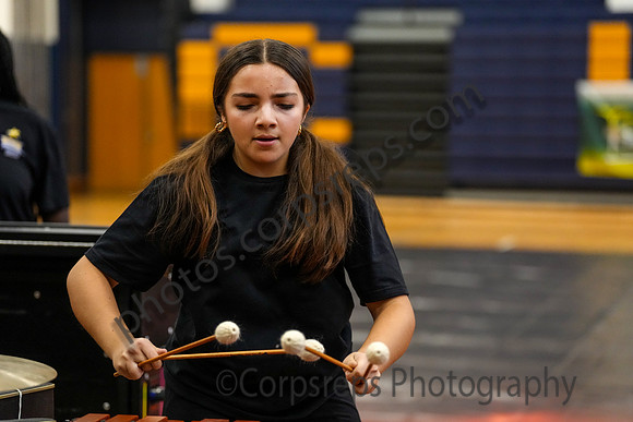 Caesar Rodney Drumline_260214_Cheltenham-cm00383
