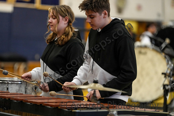 Dallastown Percussion_260214_Cheltenham-cm00031