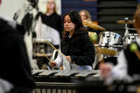 Dallastown Percussion_260214_Cheltenham-cm00027