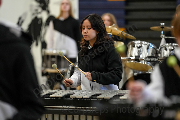 Dallastown Percussion_260214_Cheltenham-cm00027