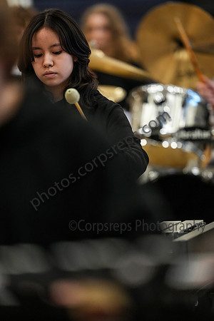 Dallastown Percussion_260214_Cheltenham-cm00050
