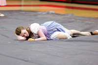Empress Winterguard_260214_Allentown HS-jb01692