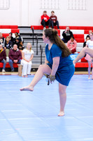 High Voltage Senior Guard_260214_Allentown HS-jb02582