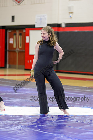 Hopewell Valley Central Guard_260214_Allentown HS-jb01050