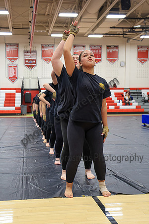 Sachem Central Guard_260214_Allentown HS-jb00536