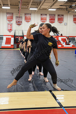 Sachem Central Guard_260214_Allentown HS-jb00537