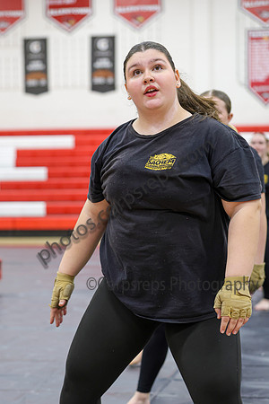 Sachem Central Guard_260214_Allentown HS-jb00542