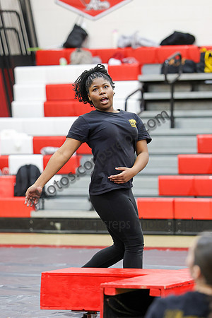 Sachem Central Guard_260214_Allentown HS-jb00545