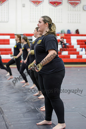 Sachem Central Guard_260214_Allentown HS-jb00575