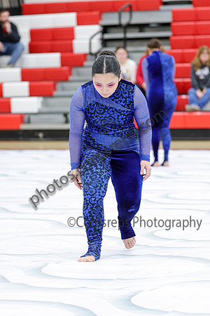 South Plainfield Guard_260214_Allentown HS-jb01975
