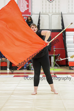 Woodbridge Guard_260214_Allentown HS-jb00793