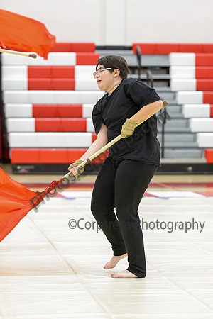 Woodbridge Guard_260214_Allentown HS-jb00801