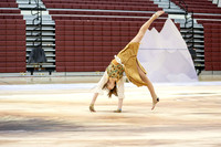 Downingtown West Guard_260214_Avon Grove High School-ms01170
