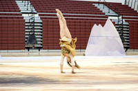 Downingtown West Guard_260214_Avon Grove High School-ms01171