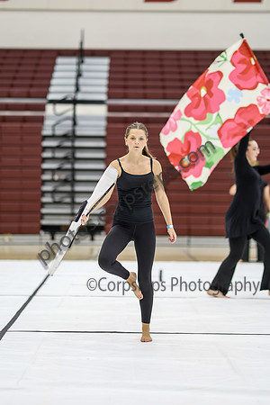 Marple Newtown Guard_260214_Avon Grove High School-ms01611