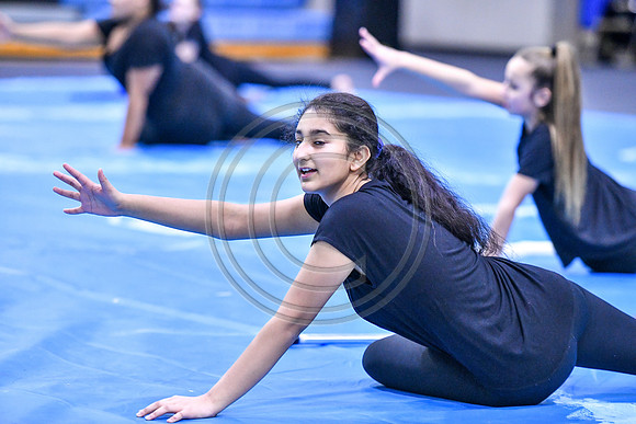 Spring-Ford MS Guard_200125_Spring-Ford-2479