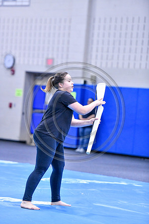 Spring-Ford MS Guard_200125_Spring-Ford-2452