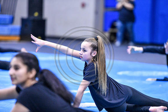 Spring-Ford MS Guard_200125_Spring-Ford-2480