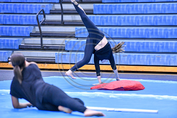 Spring-Ford MS Guard_200125_Spring-Ford-2472