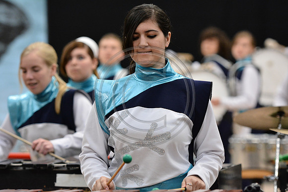 Egg Harbor Township Drumline-1052