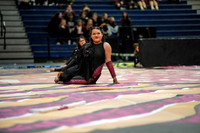 Winter Star Guard