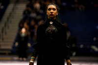 Arlington Guard