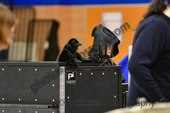 Exeter Township Percussion_260221_Conrad Weiser-DJK00020