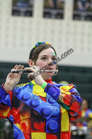 Cumberland Regional Winds_260228_Pemberton-JSB00086